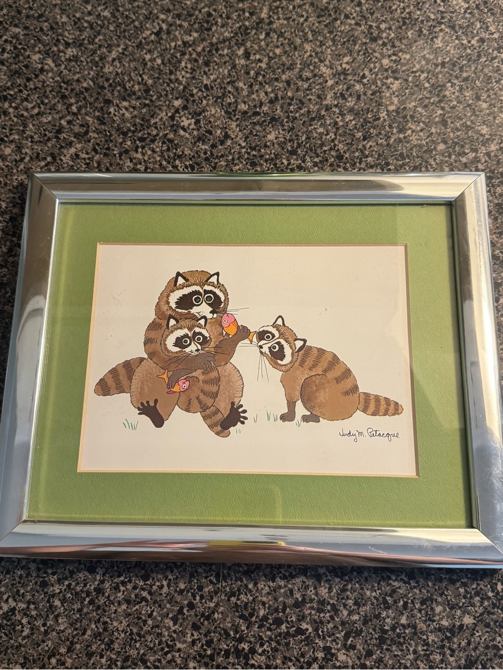 Two Vintage 1970s Framed Raccoon Illustration Eating Fish
